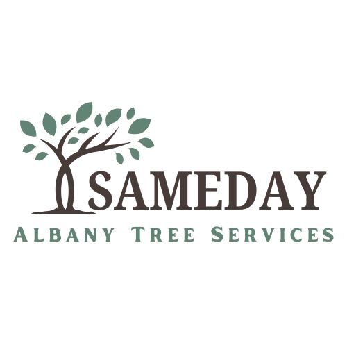 SameDay Albany Tree Services